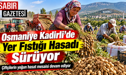 Osmaniye Kadirli’de Yer Fıstığı Hasadı Sürüyor