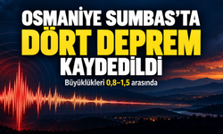 Osmaniye Sumbas’ta Dört Küçük Deprem Kaydedildi