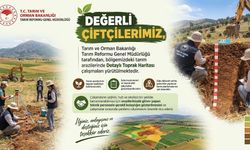 Osmaniye Tarım Arazileri İçin Toprak Haritası Hazırlanıyor