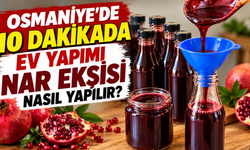 Osmaniye'de 10 Dakikada Ev Yapımı Nar Ekşisi Nasıl Yapılır?