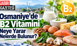 Osmaniye'de B2 Vitamini Neye Yarar Nelerde Bulunur?