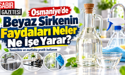 Osmaniye'de Beyaz Sirkenin Faydaları Neler Ne İşe Yarar?