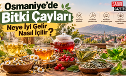 Osmaniye’de Bitki Çayları Neye İyi Gelir Nasıl İçilir?
