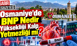 Osmaniye’de BNP Nedir Yüksekliği Kalp Yetmezliği mi?