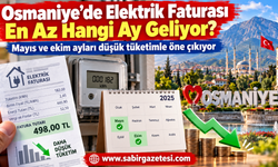 Osmaniye’de Elektrik Faturası En Az Hangi Ay Geliyor?
