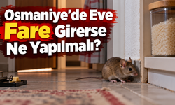 Osmaniye’de Eve Fare Girerse Ne Yapılmalı?