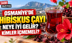 Osmaniye'de Hibiskus Çayı Neye İyi Gelir Kimler İçmemeli?