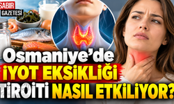 Osmaniye’de İyot Eksikliği Tiroiti Nasıl Etkiliyor?