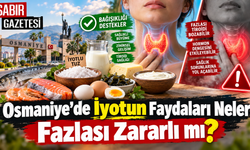 Osmaniye’de İyotun Faydaları Neler Fazlası Zararlı mı?