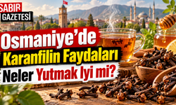 Osmaniye’de Karanfilin Faydaları Neler Yutmak İyi mi?