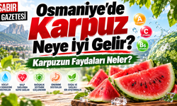 Osmaniye'de Karpuz Neye İyi Gelir Faydaları Neler?
