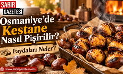 Osmaniye’de Kestane Nasıl Pişirilir Faydaları Neler?