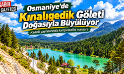 Osmaniye'de Kınalıgedik Göleti Doğasıyla Büyülüyor