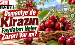 Osmaniye'de Kirazın Faydaları Neler Zararı Var mı?