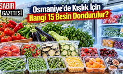 Osmaniye’de Kışlık İçin Hangi 15 Besin Dondurulur?