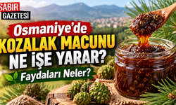 Osmaniye’de Kozalak Macunu Ne İşe Yarar Faydaları Neler?