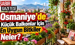 Osmaniye’de Küçük Balkonlar İçin En Uygun Bitkiler Neler?