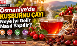 Osmaniye’de Kuşburnu Çayı Neye İyi Gelir Nasıl Yapılır?