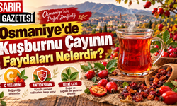 Osmaniye'de Kuşburnu Çayının Faydaları Nelerdir?