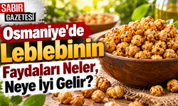 Osmaniye'de Leblebinin Faydaları Neler Neye İyi Gelir?