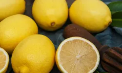 Osmaniye’de Limonun Faydaları Neler Şekeri Düşürür mü?