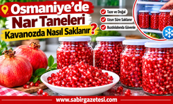Osmaniye’de Nar Taneleri Kavanozda Nasıl Saklanır?