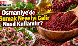 Osmaniye’de Sumak Neye İyi Gelir Nasıl Kullanılır?