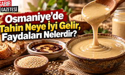 Osmaniye’de Tahin Neye İyi Gelir Faydaları Nelerdir?