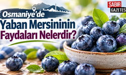 Osmaniye'de Yaban Mersininin Faydaları Nelerdir?