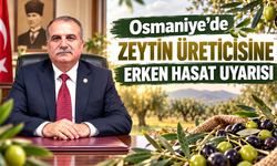 Osmaniye’de Zeytin Üreticisine Erken Hasat Uyarısı