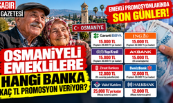 Osmaniyeli Emeklilere Hangi Banka Kaç TL Promosyon Veriyor?