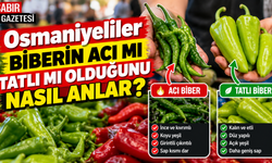 Osmaniyeliler Biberin Acı mı Tatlı mı Olduğunu Nasıl Anlar?