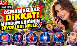 Osmaniyeliler Dikkat Mürdüm Eriğinin Faydaları Neler?