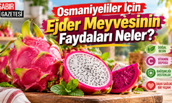 Osmaniyeliler İçin Ejder Meyvesinin Faydaları Neler?