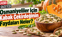 Osmaniyeliler İçin Kabak Çekirdeğinin Faydaları Neler?
