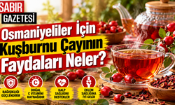Osmaniyeliler İçin Kuşburnu Çayının Faydaları Neler?