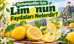 Osmaniyeliler İçin Limonun Faydaları Nelerdir?