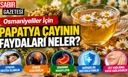Osmaniyeliler İçin Papatya Çayının Faydaları Neler?