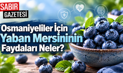 Osmaniyeliler İçin Yaban Mersininin Faydaları Neler?