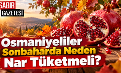 Osmaniyeliler Sonbaharda Neden Nar Tüketmeli?