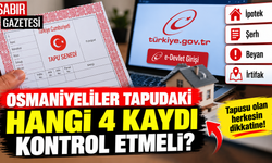 Osmaniyeliler Tapudaki Hangi 4 Kaydı Kontrol Etmeli?