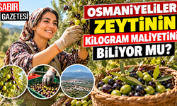 Osmaniyeliler Zeytinin Kilogram Maliyetini Biliyor mu?