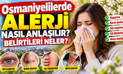 Osmaniyelilerde Alerji Nasıl Anlaşılır Belirtileri Neler?