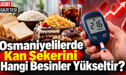 Osmaniyelilerde Kan Şekerini Hangi Besinler Yükseltir?