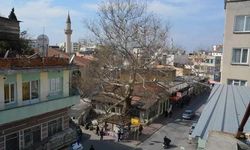 Osmaniye’nin Hafızasında Tarihi Çınarlı Kahve