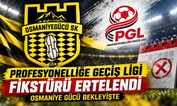 Profesyonelliğe Geçiş Ligi Fikstürü Ertelendi