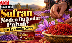 Safran Neden Bu Kadar Pahalı İşte Üretimin Sırrı