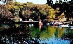 Sinop’ta Sonbahar Doğa Renklerin En Güzel Hâline Büründü