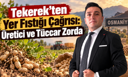 Tekerek’ten Yer Fıstığı Çağrısı Üretici ve Tüccar Zorda