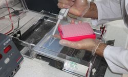 TÜBİTAK destekli projeyle kuraklığa ve hastalığa dayanıklı yeni tohum çeşitleri geliştiriliyor